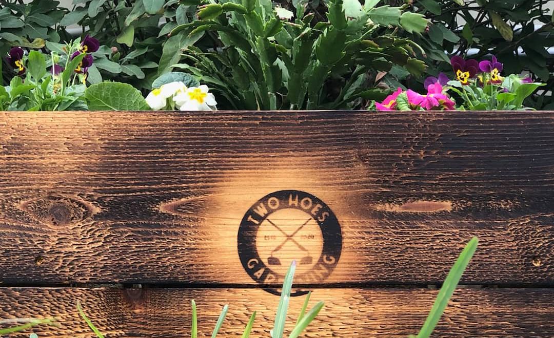 closeup of wooden garden frame filled with flowers and green plants with Two Hoes Gardening logo centered