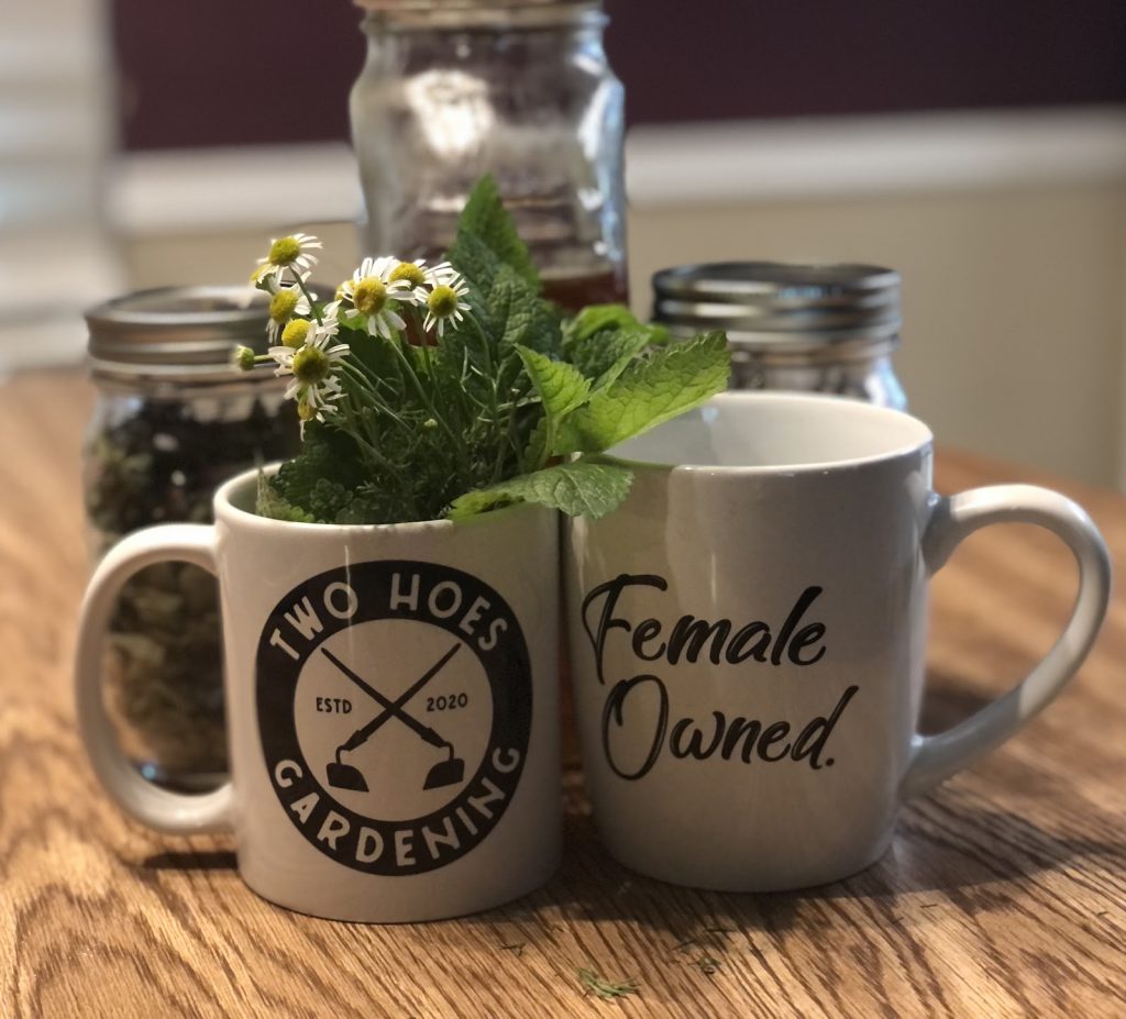 two mugs, one with the Two Hoes Gardening logo, the other with the words "female owned." Jars of herbs in the background.