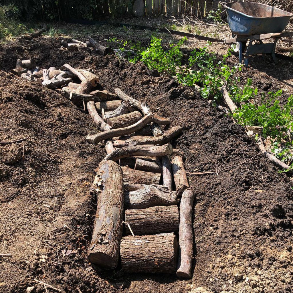 A row of short logs arranged into a trench in the ground. This is one step of hugelkultur construction.
