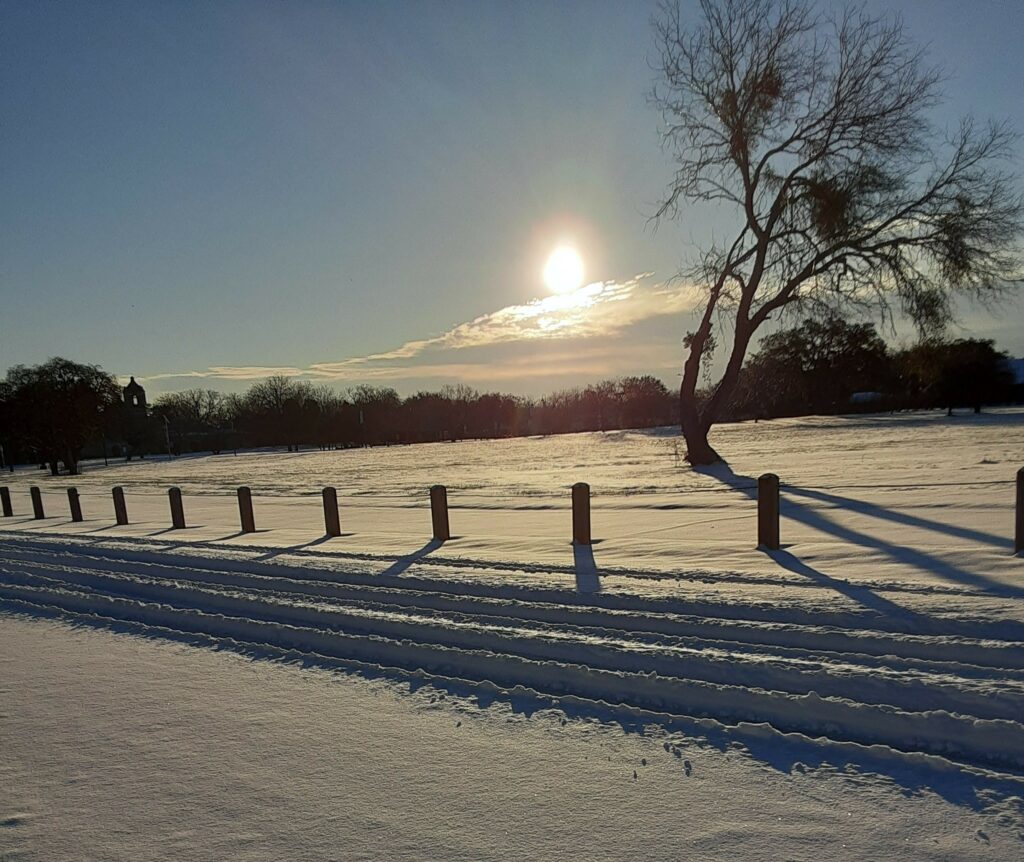 photo of a snowy field with sun rising in middle of background during winter storm Uri